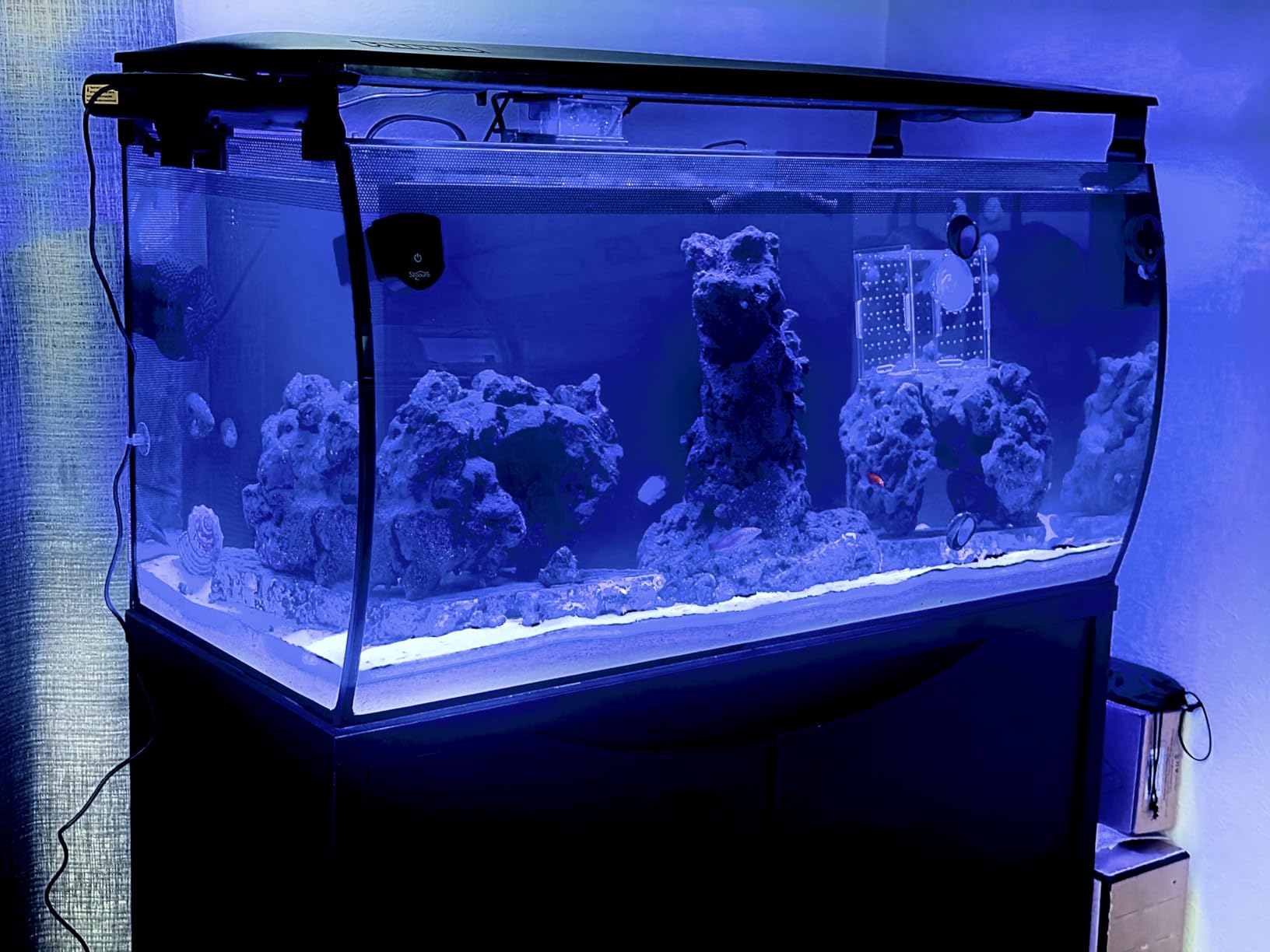 PAIZOO Aquarium Chiller Fan, Ultra-Quiet Fish Tank Cooler with 3 Speed Mode, Effective Cooling 3-7°F, Max Wind Speed 10ft/s, Fish Tank Cooling Fan for Axolotl Tank Accessories Freshwater Saltwater Tanks customer photo 2