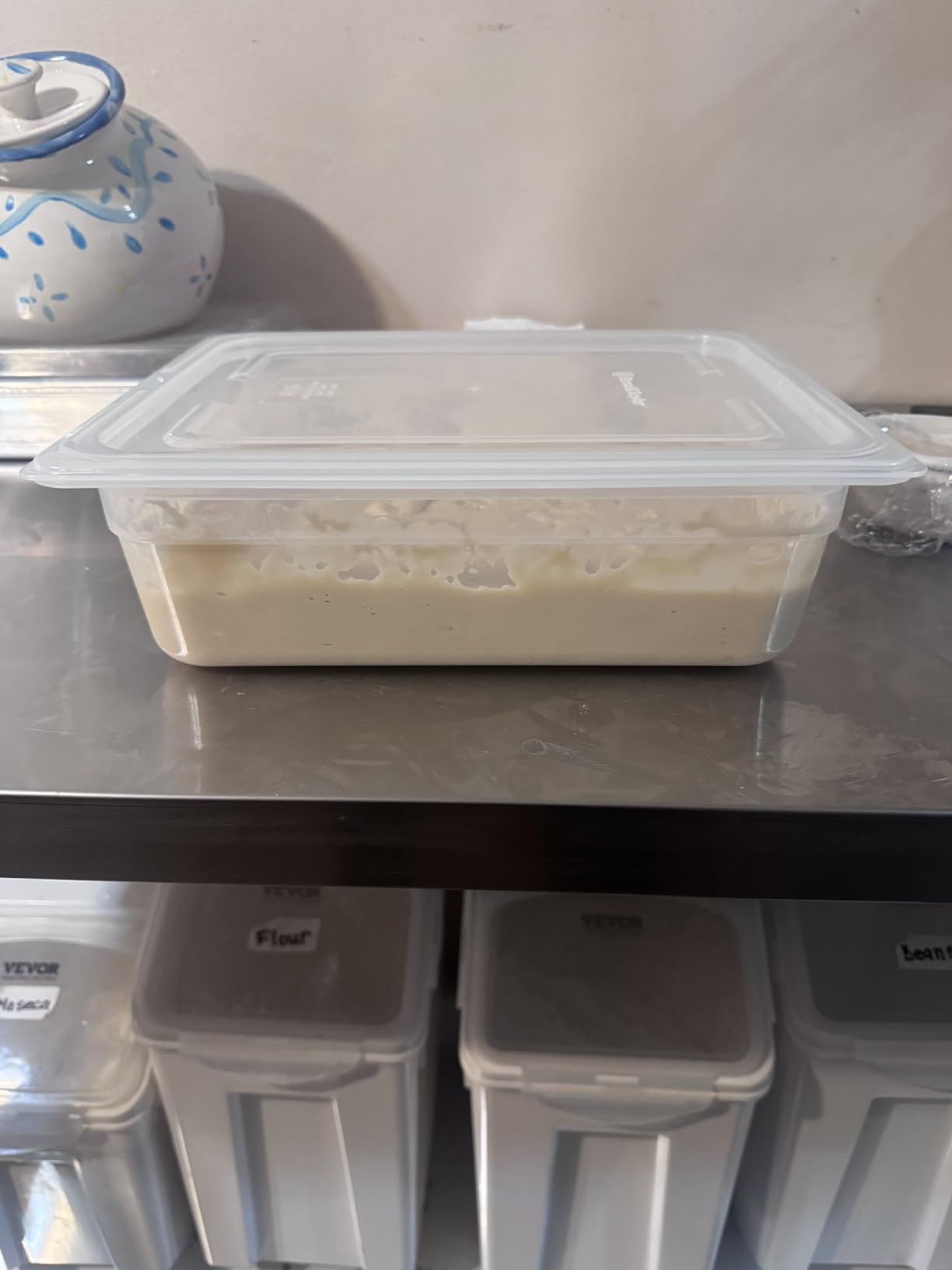Brod & Taylor Proofing Container With 6L Capacity, Fits Up to 3000 Grams of Dough - Dough Rising Box for Bread, Sourdough & Pizza (Dishwasher Safe, BPA-Free) customer photo 2