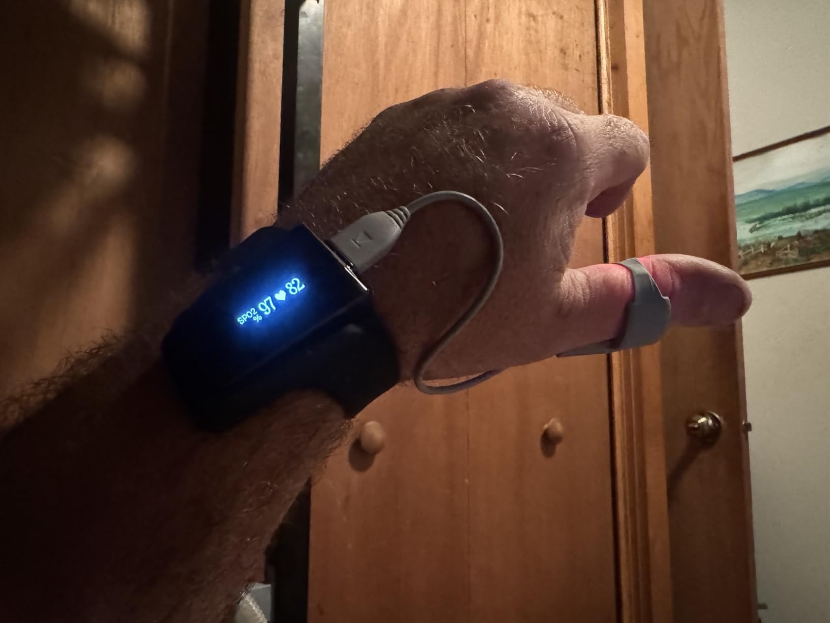 Wellue Wrist Pulse Oximeter with Audio Reminder | Bluetooth Rechargeable Continuous SpO2 Tracking, 72 Hours Battery, Free App & PC Reports customer photo 2
