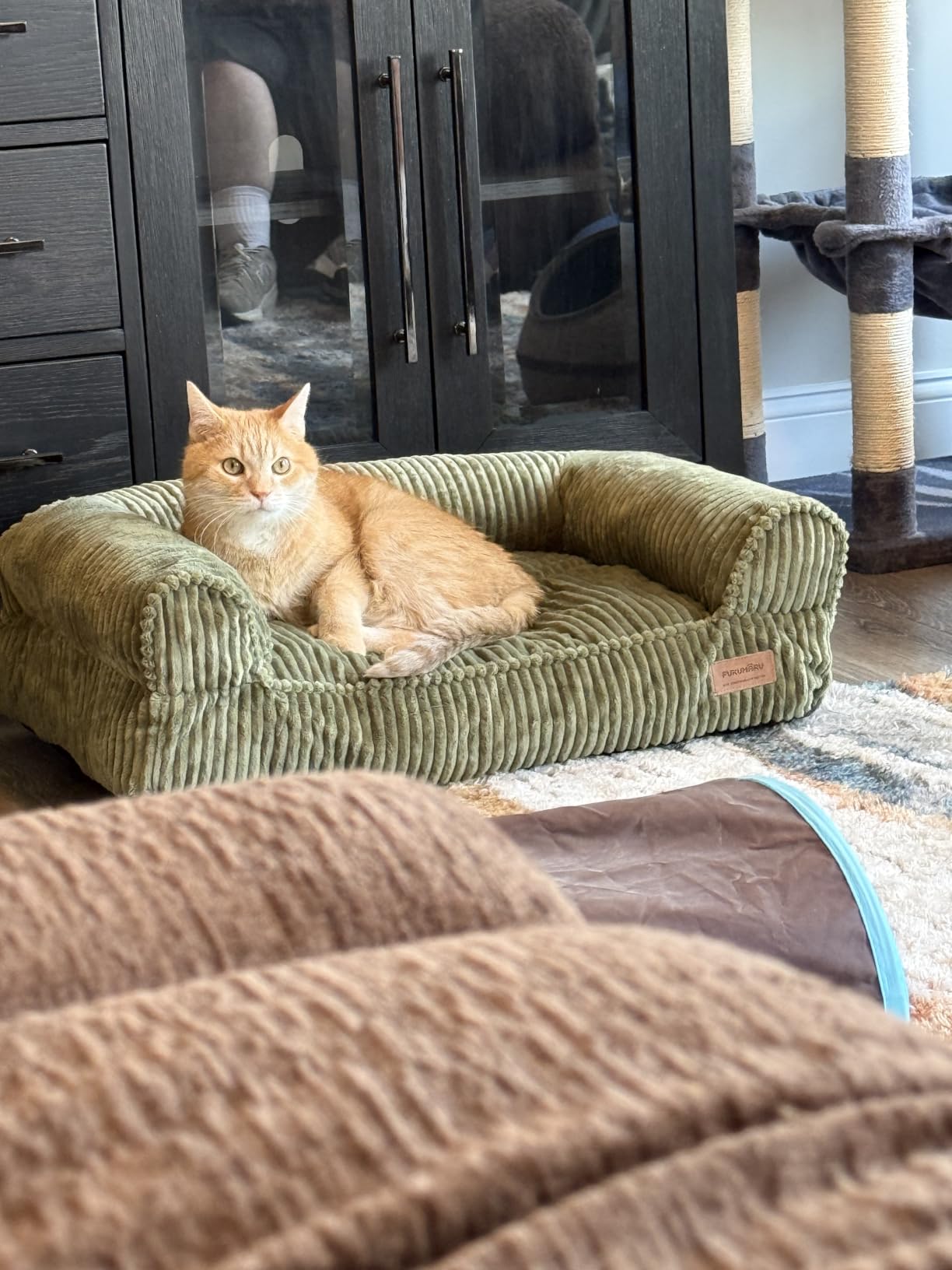 FUKUMARU Dog Couch Bed, Corduroy Cozy Cat Bed, Waterproof, Washable Cover | 28in Orthopedic Dog Beds Sofa for Small Dogs and Large Cats customer photo 1