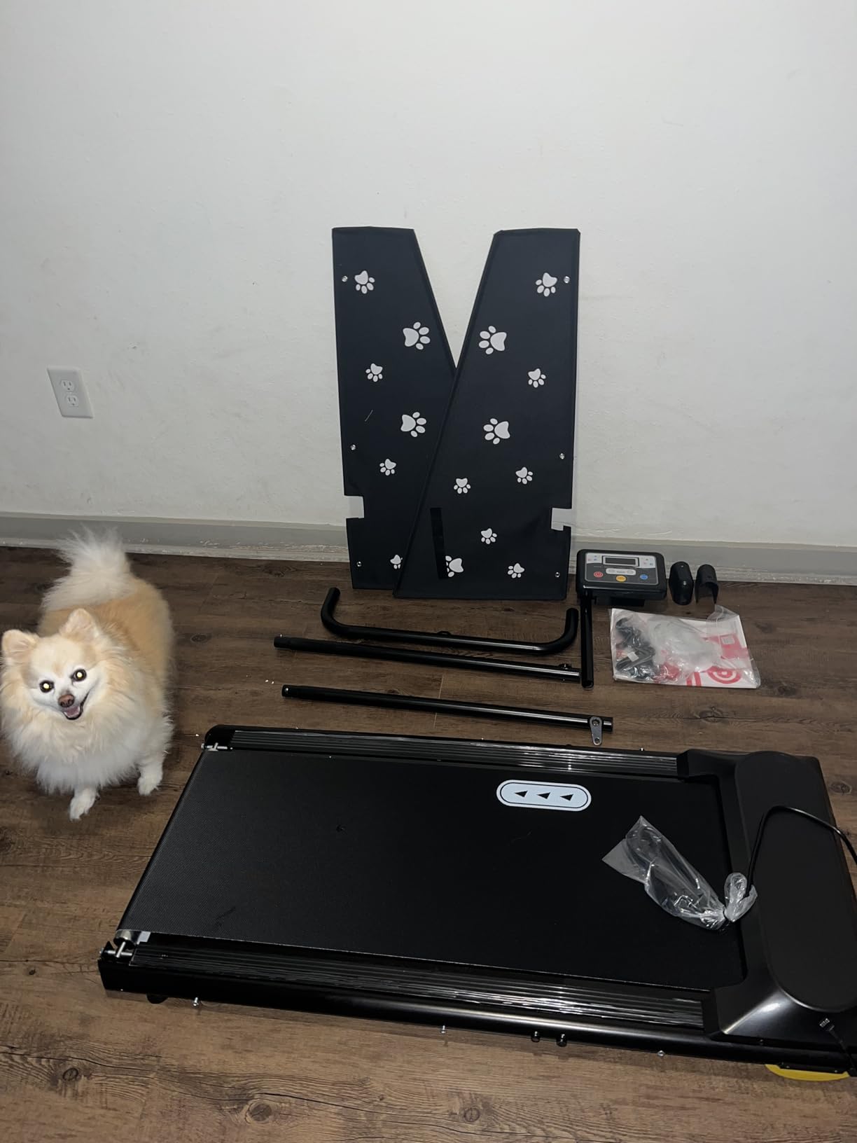 CIIHI Dog Treadmill for Medium Small Dogs - 265lbs Weight Capacity Pet Running Machine with 360° Rotatable Display - 2 in 1 Treadmill for Pet Fitness with Move Wheels and Remote Control customer photo 2