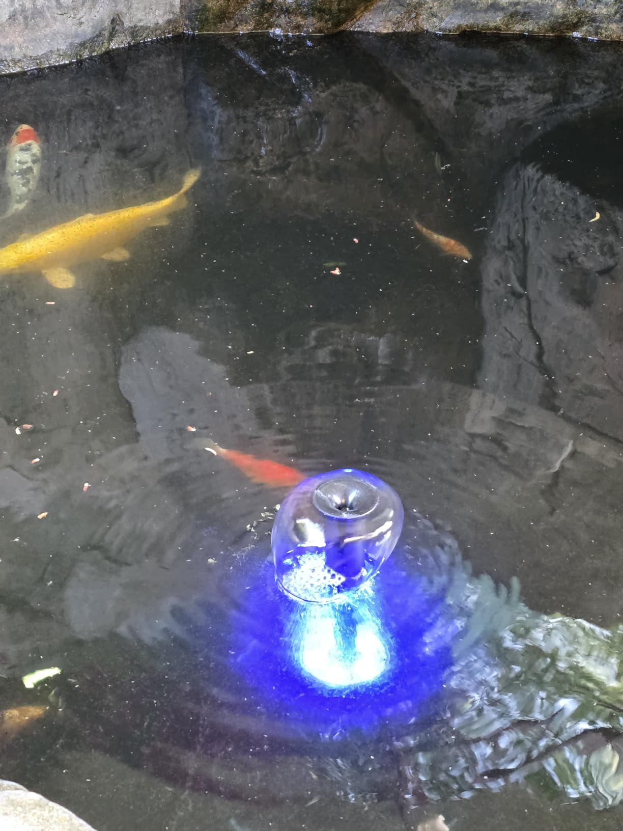 AquaMiracle Pond Filter with Fountain Kits | Remote Control Colorful LED Lights | 550GPH Koi Pond Filter Pump with U-V | Tackle Green Water Algae | 3 Spray Patterns | for Outdoor Ponds 200-500 Gal customer photo 1