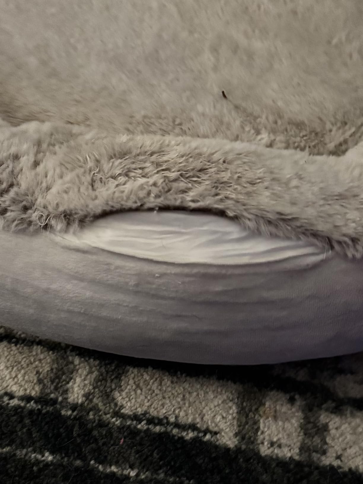 Round Donut Dog Bed - Luxury Orthopedic Dog Beds with Memory Foam, Calming Bolster Pet Bed, Water-Resistant, Washable Plush Cover, Premium Zipper - For Small Dogs & Cats (21 Inches) customer photo 2