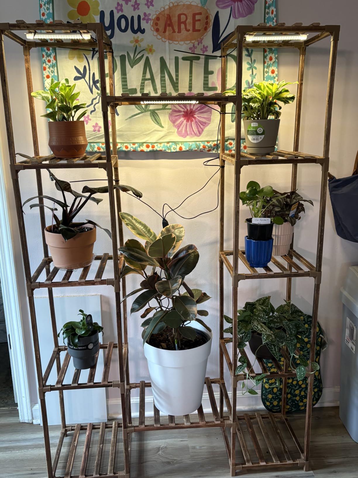 GENTINGBRO Plant Stand Indoor with Grow Lights for Indoor Plants 62.2'' Tall Plant Shelf 12 Tiers Sturdy Plant Rack for Plants Display for Living Room Garden Patio Decor customer photo 1