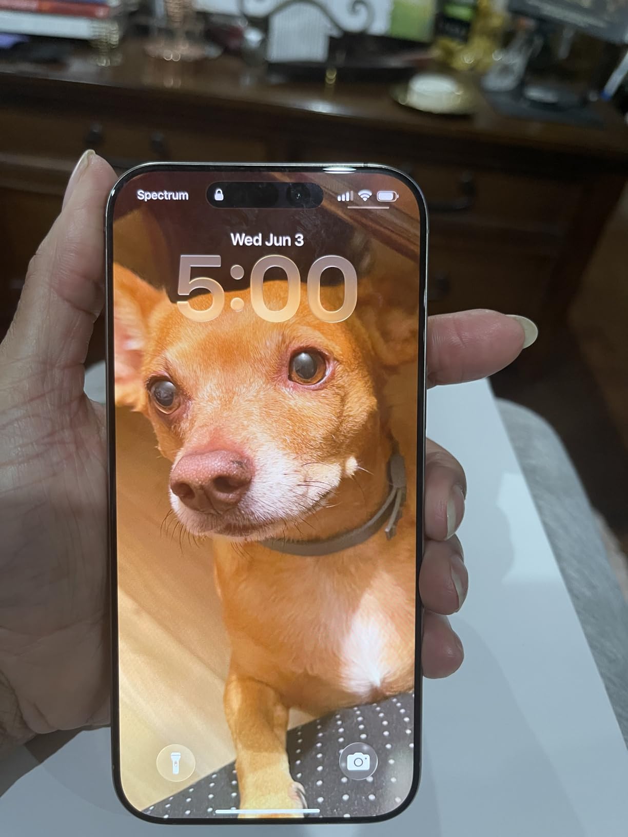 Apple iPhone (Renewed Premium) 16 Pro Max, US Version, 512GB, White Titanium - Unlocked customer photo 2