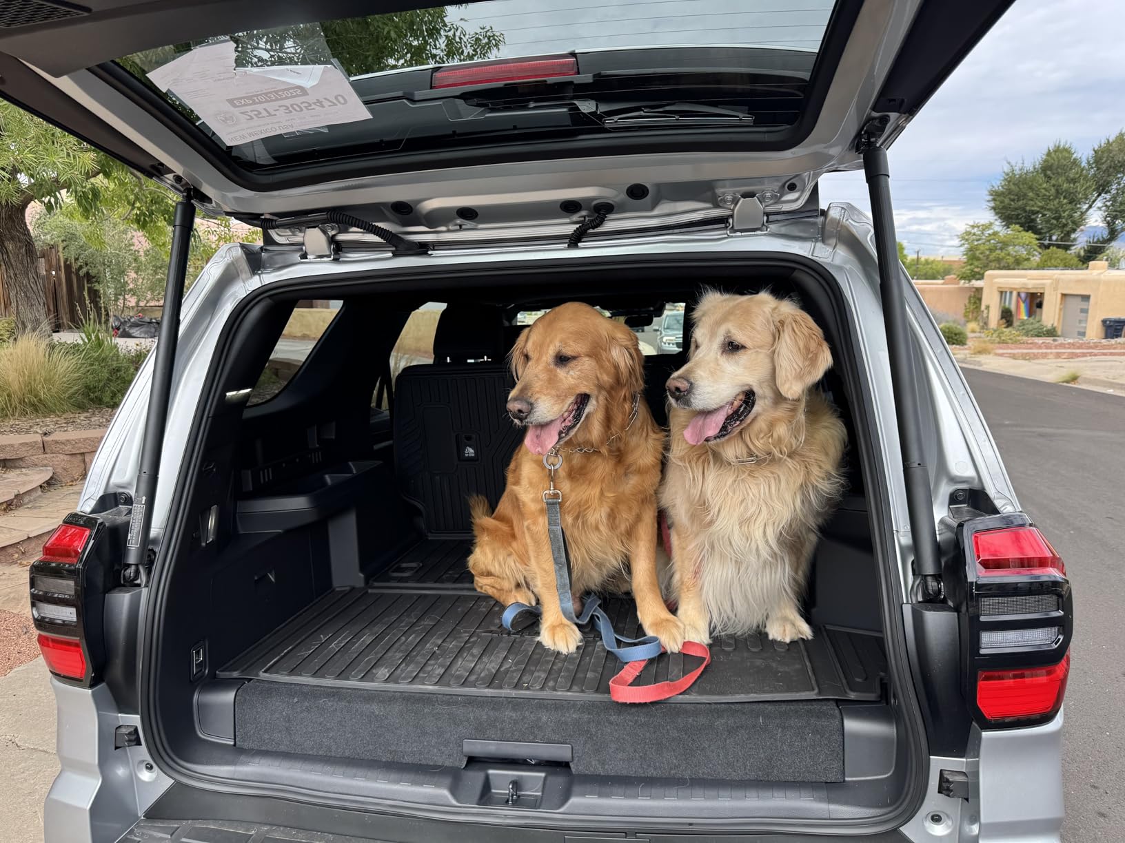 PetThem Upgraded Dog Ramp for Car 71'' X-Long & 19.7