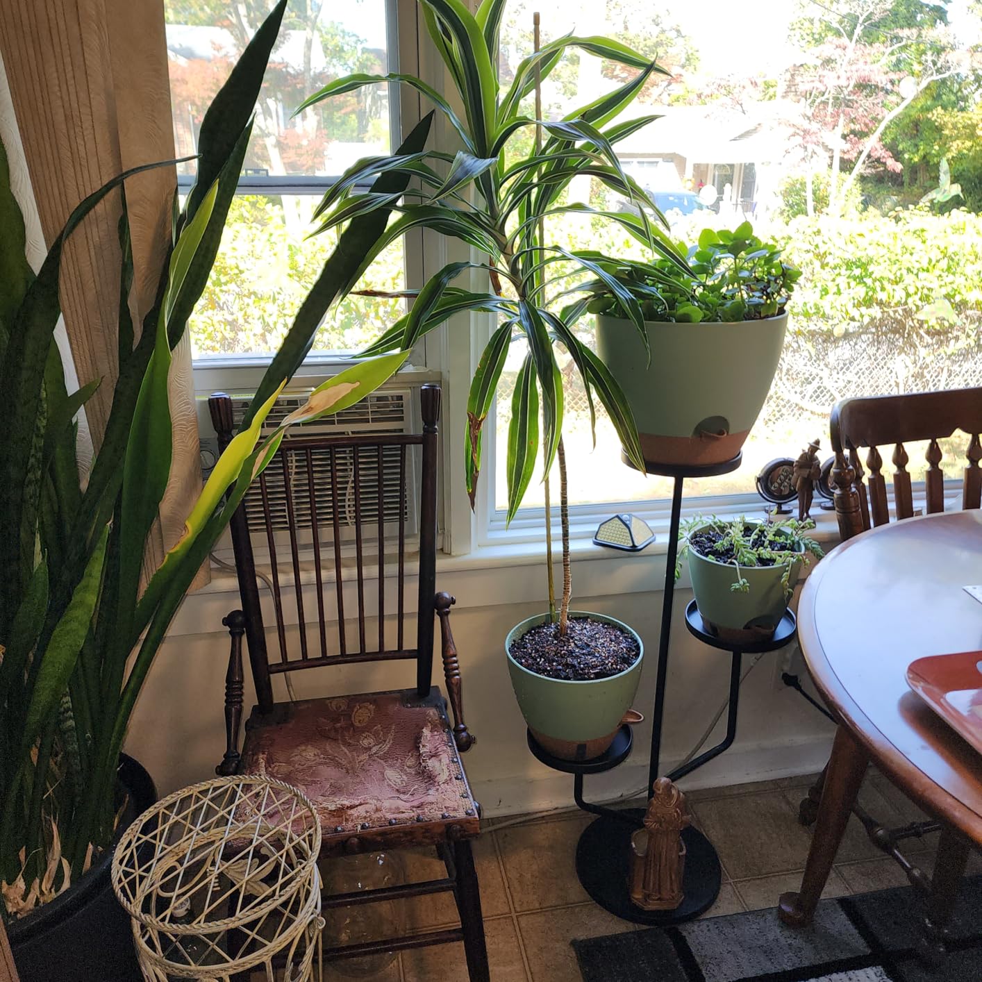 8/10/12 Inch Self Watering Pots for Indoor/Outdoor Plants | Large Plastic Planter with Drainage Holes, Water Level Indicator & Deep Reservoir, Modern Decorative Flower Pots, White customer photo 1