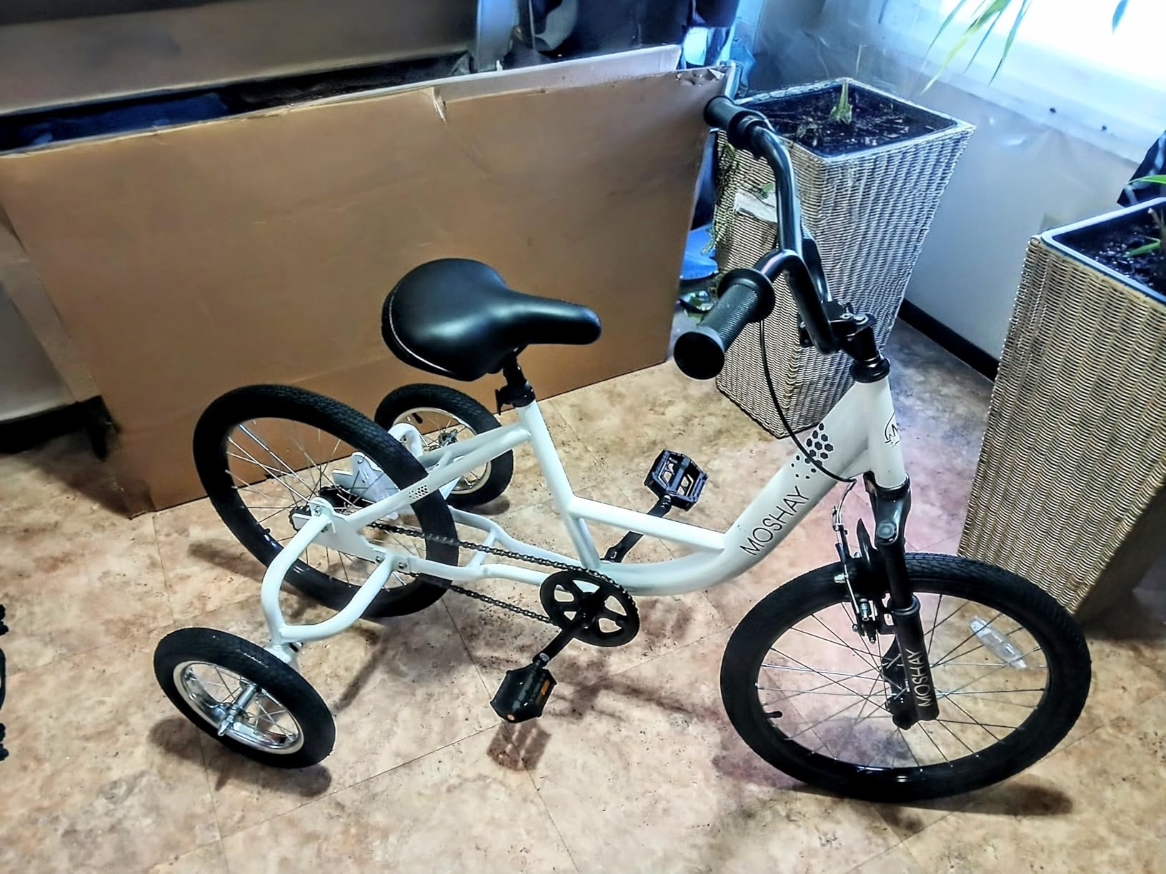 MOSHAY 20 inch Adaptive Training Wheel Bicycle customer photo 1