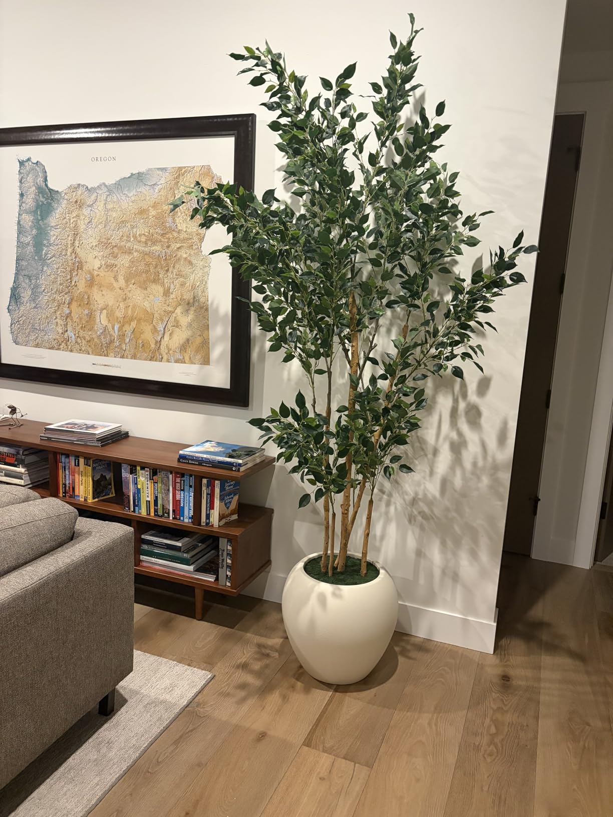 VeriNatural 8FT Artificial Ficus Tree, Indoor Faux Ficus Plant with Realistic Leaves & Natural Wood Trunk, 8ft Tall, Green, All Seasons, Perfect for Living Room Home Decor customer photo 2