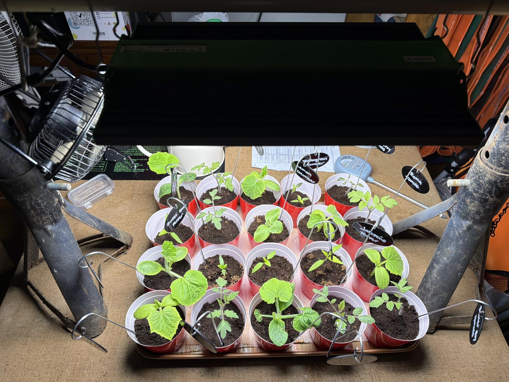 VIPARSPECTRA P700 70 Watt Grow Light, Dimmable Plant Light, LED Grow Lights for Indoor Plants | Full Spectrum Growing Lamp Seed Starting Seedlings Vegetable, 11000 Lumens Small Hanging for 2x2 Grow Tent customer photo 1
