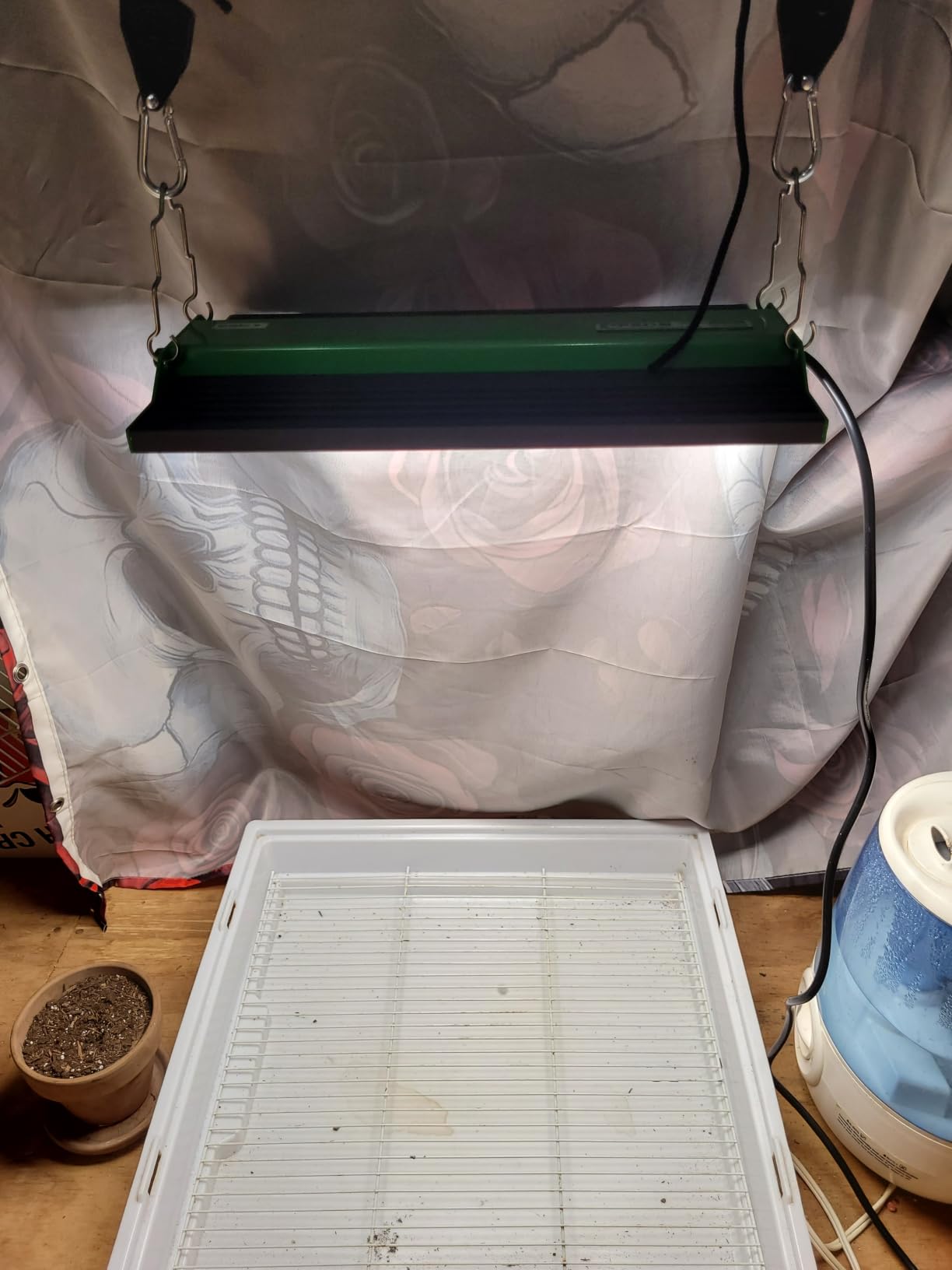 VIPARSPECTRA P700 70 Watt Grow Light, Dimmable Plant Light, LED Grow Lights for Indoor Plants | Full Spectrum Growing Lamp Seed Starting Seedlings Vegetable, 11000 Lumens Small Hanging for 2x2 Grow Tent customer photo 2