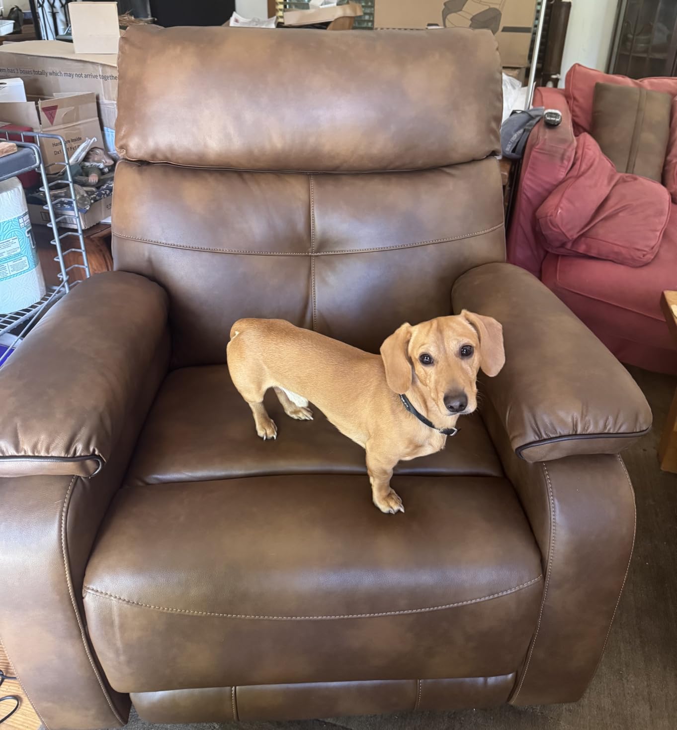 Dual Motor Power Lift Recliner Chair for Adult & Elderly, Leather, Brown | Infinite Position Lay Flat Lift Chair with Heat & Massage, Cup Holder, Lumbar Pillow, Wireless Charger, USB Ports, Leather customer photo 1