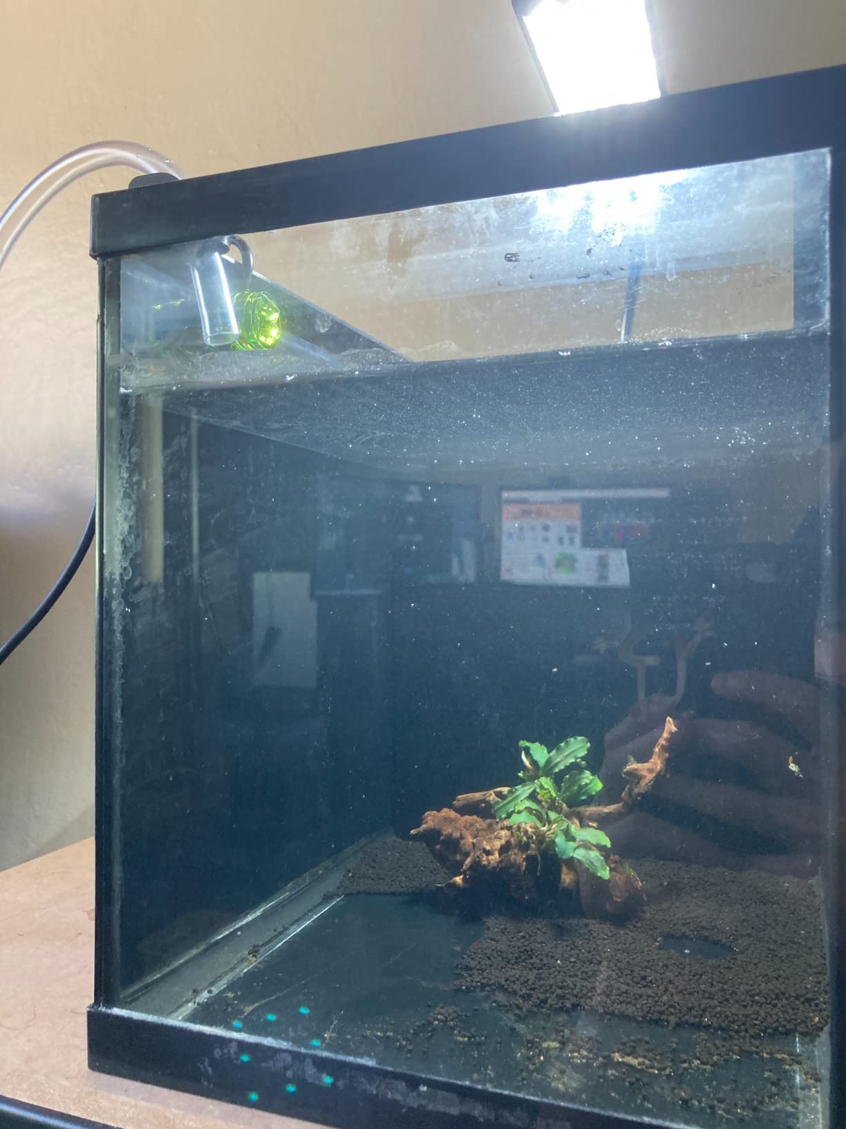 MagTool ATO Aquarium Auto Top Off System with Dual Optical Sensor-Green | Automatic water level control for reef, saltwater and freshwater tanks with dual optical sensors for accurate top-off. customer photo 2