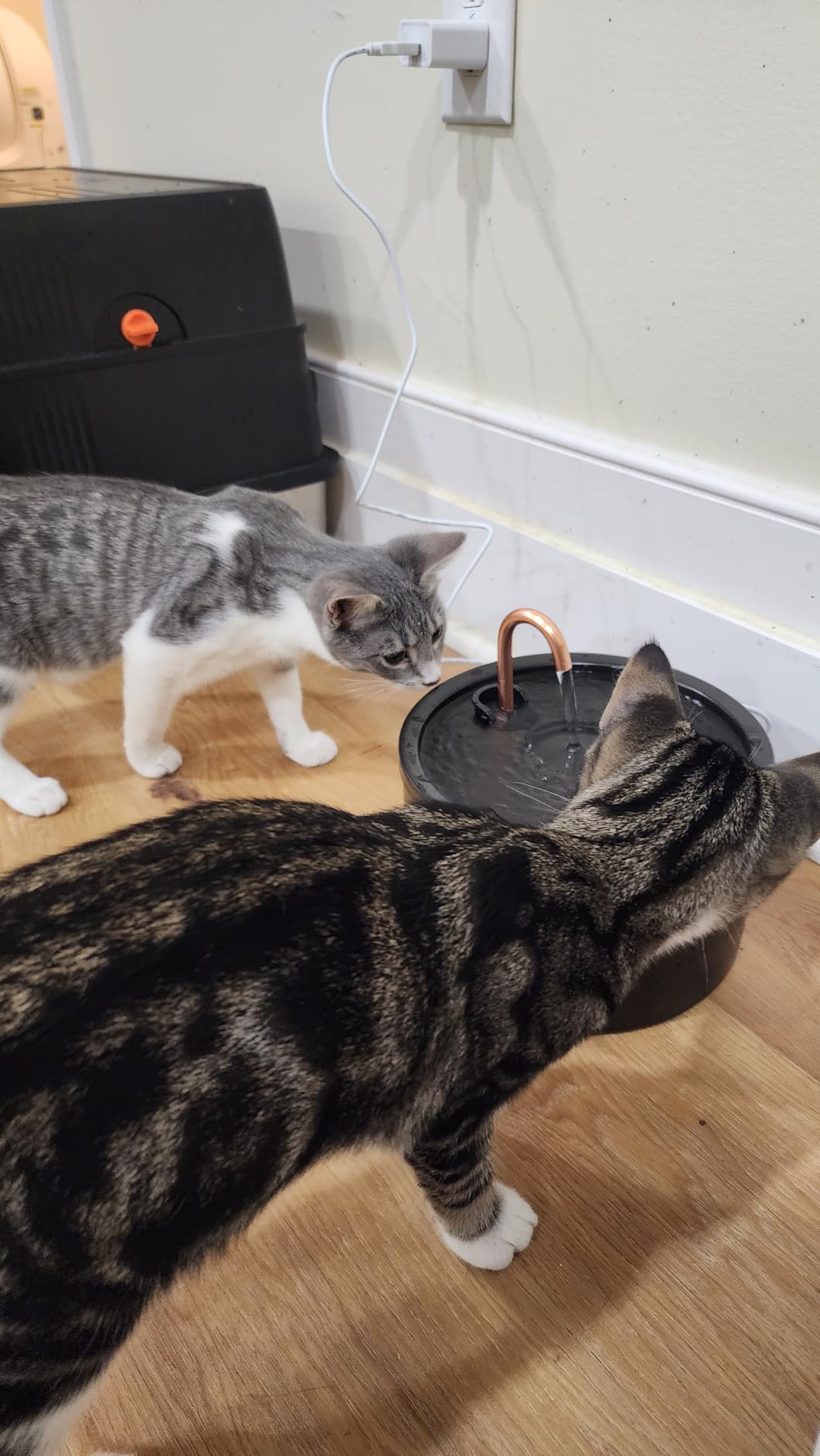 MISFANS Ceramic Cat Water Fountain, All-Ceramic Body, Pure Copper Spout | 2.1L/71oz Capacity, Under 20dB Pump, Dual Filtration, Faucet and Fountain Modes, Easy-Clean Unit, 3 Filters and Sponge, White customer photo 1