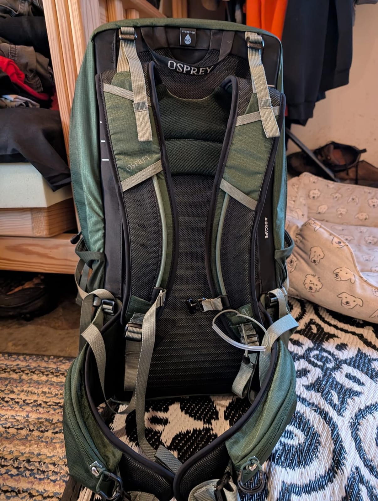 Osprey Talon 22L Men's Lightweight Hiking Backpack, Gray OS | daypack, travel daypack, camping pack, Gray color, OS size customer photo 2