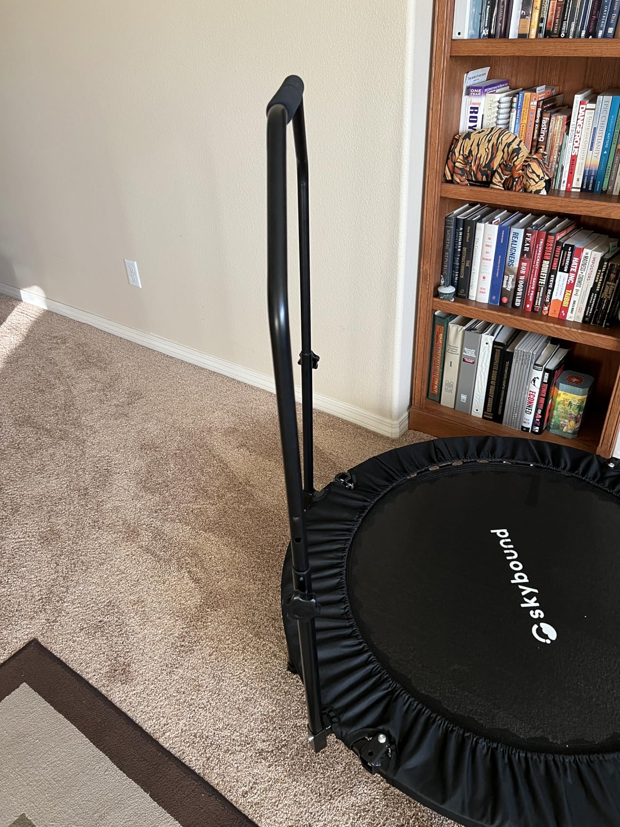 SkyBound Rebounder Trampoline for Adults - Indoor Mini Trampoline with Bar, Fitness Rebounder with 3 Adjustable Foam Handles, Exercise Trampoline for Adults Indoor/Garden Workout customer photo 1