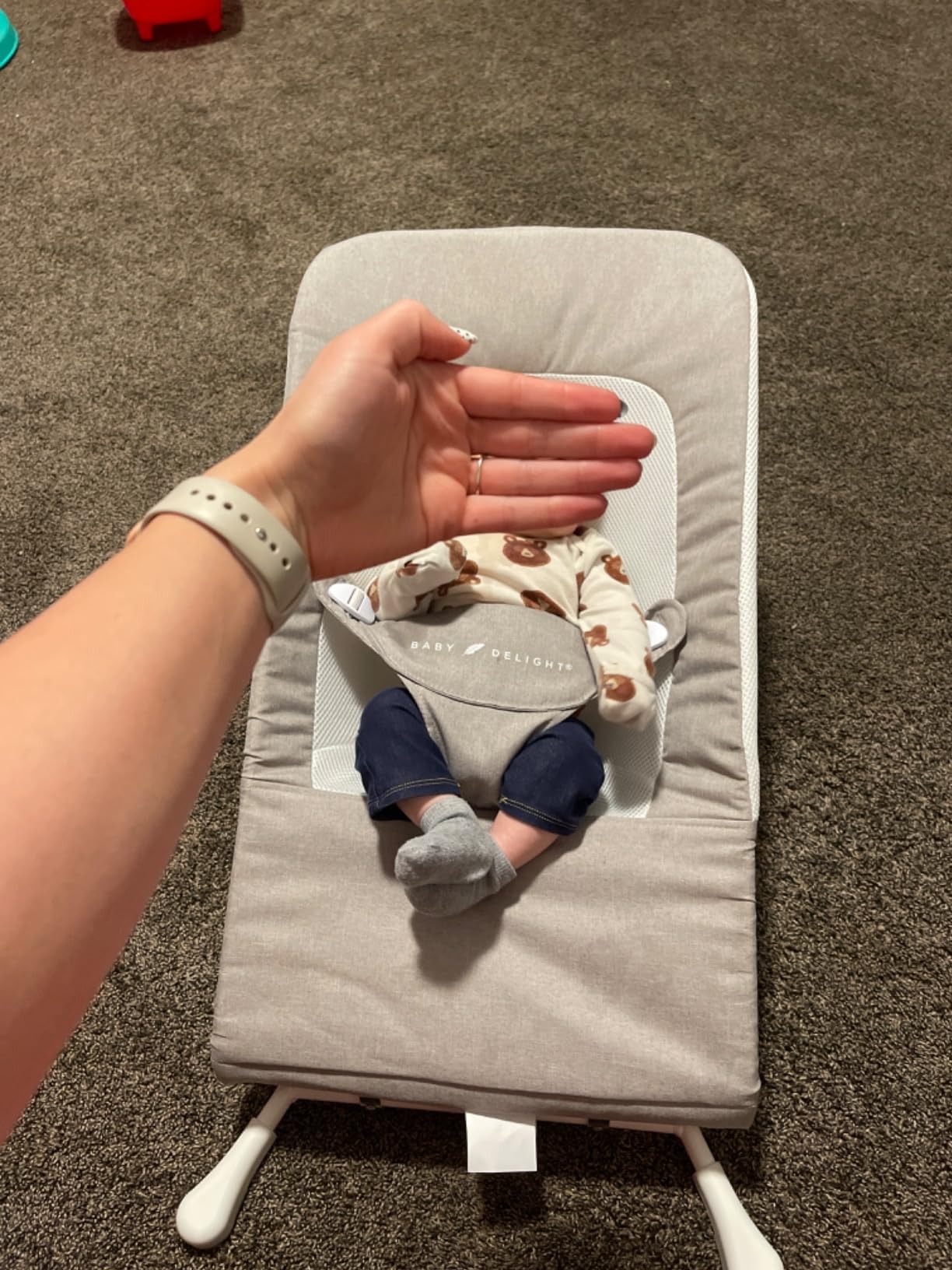 Baby Delight Highland Baby Bouncer, Sage Tweed | For Infants 0-6 Months, 3-Position Recline, Adjustable 3-Point Harness, Secure Locking Mechanism, Folds Flat customer photo 2