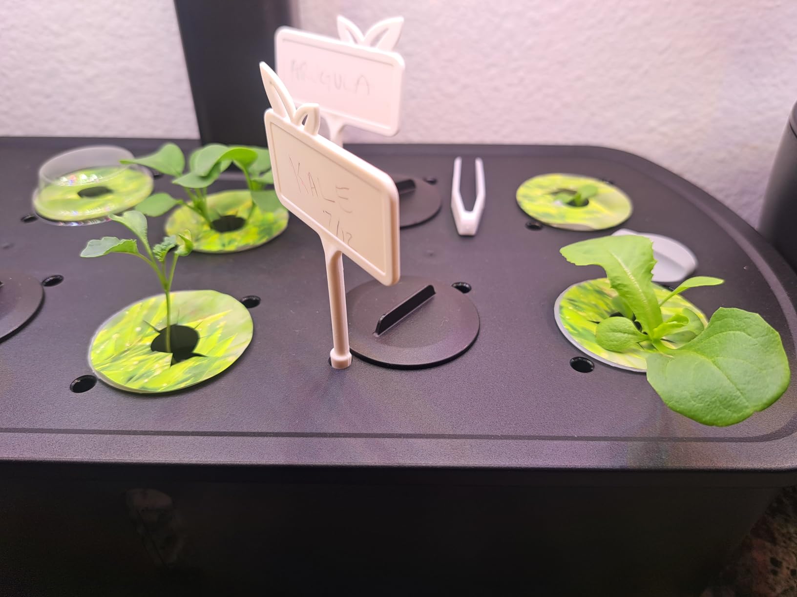 LETPOT LPH-Lite Hydroponics Growing System, 12 Pods Smart Herb Garden Kit Indoor, Indoor Garden, APP & WiFi Controlled, with 24W Growing LED, 5.5L Water Tank, Pump System, Automatic Timer customer photo 2