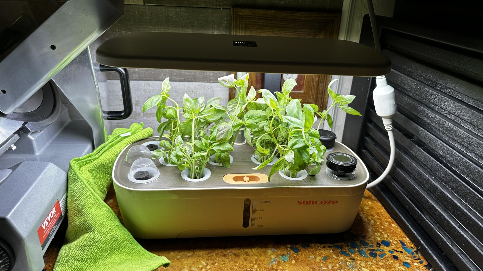 Hydroponics Growing System, 12 Pods, 12.4 in Adjustable Height | Indoor herb Garden with 20W LED Grow Light, Visible Water Tank with Pump, Indoor Gardening System, Gardening Gifts, Black customer photo 1