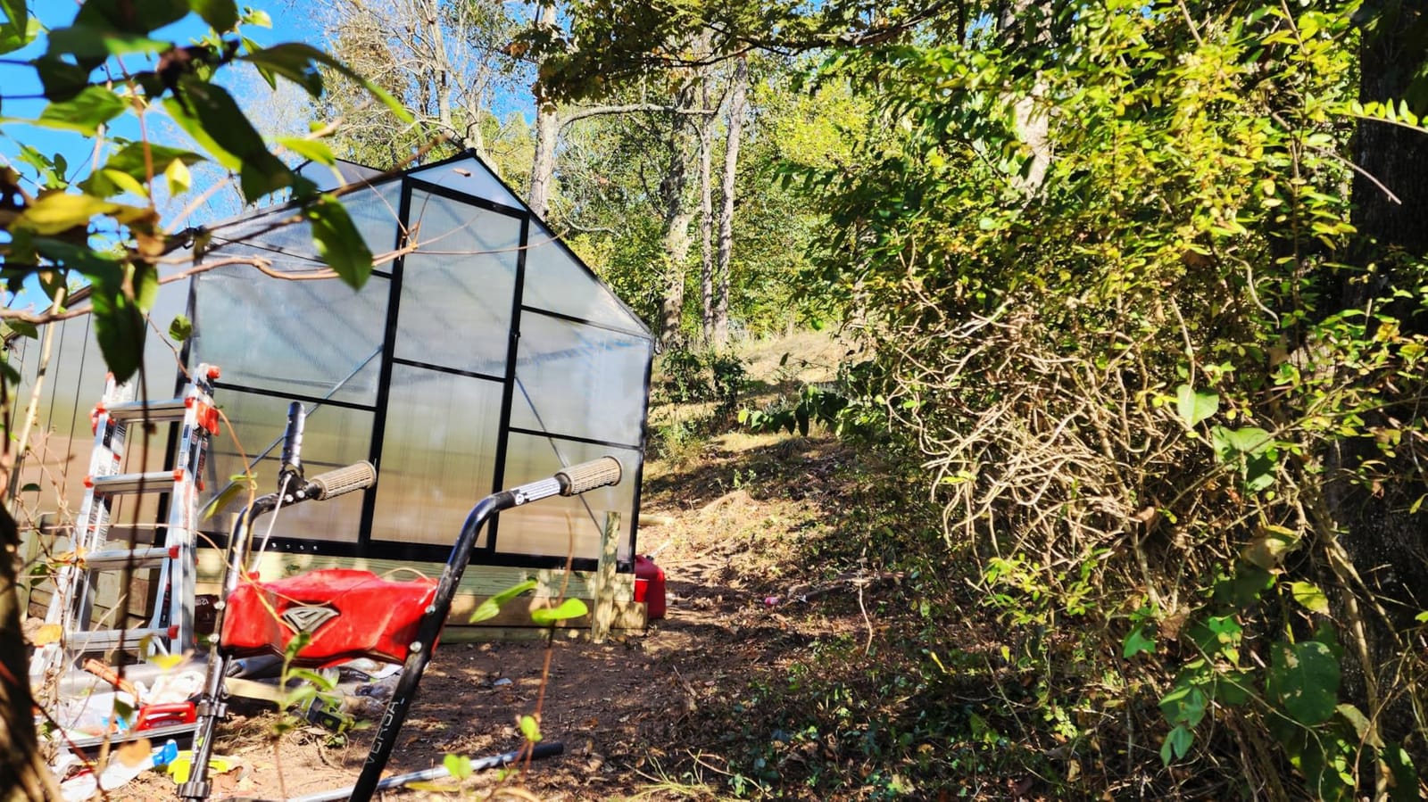 6x4FT Greenhouse with Hygrometer, Windproof Warm Plant Green Houses | Heavy Duty Aluminum Frame Polycarbonate Greenhouses with Vent Window for Backyard Garden Vegetables Flowers Herbs Growing customer photo 2