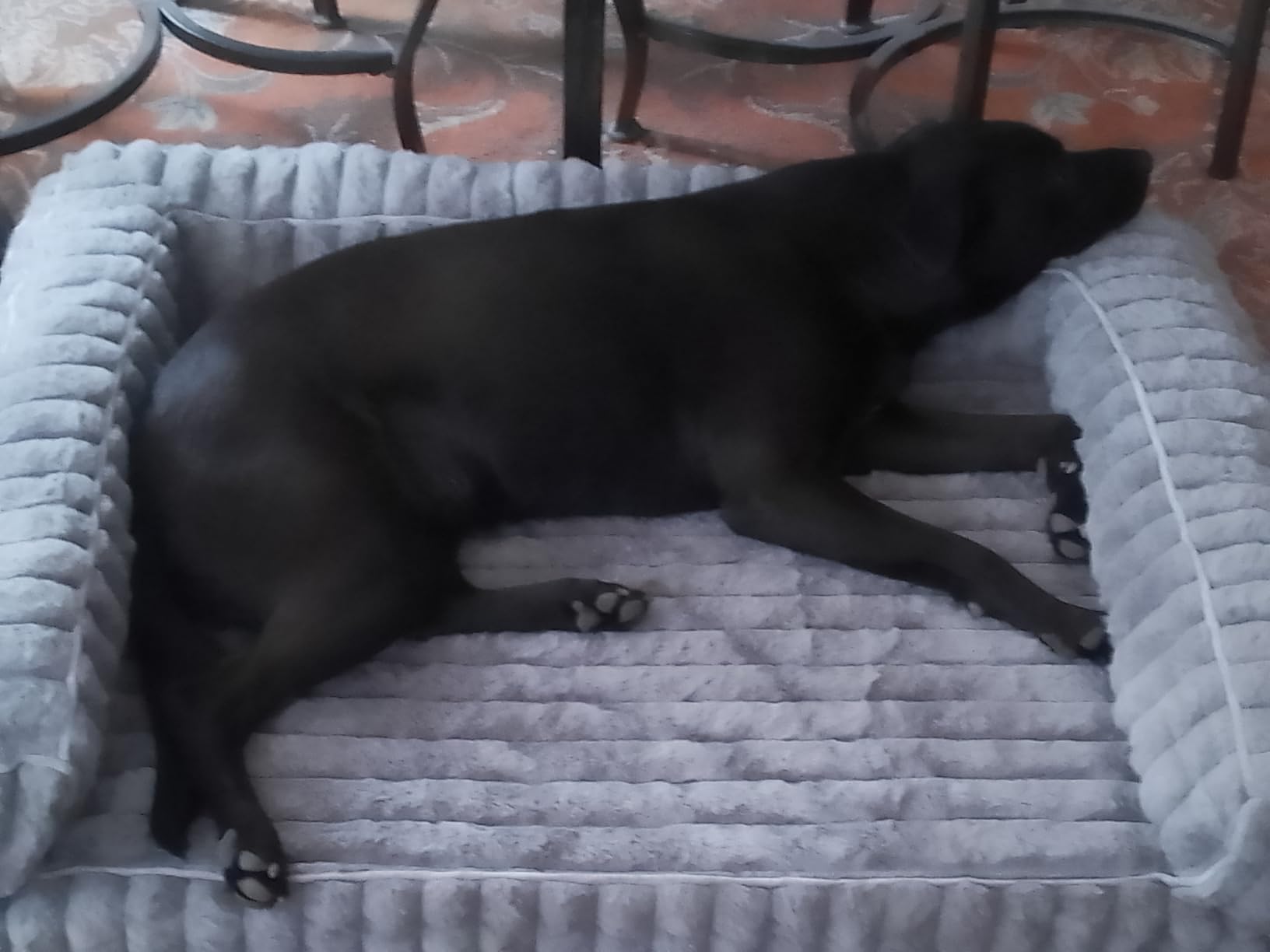 Bedsure ComfyFleece Memory Foam Orthopedic Dog Beds Large Sized Dog 35