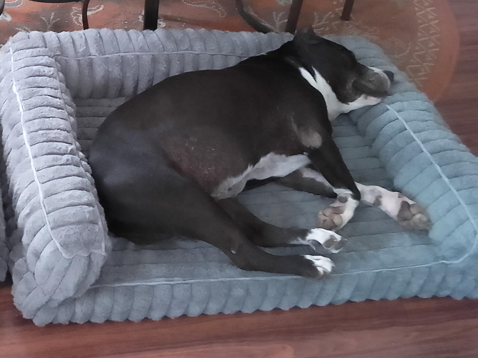 Bedsure ComfyFleece Memory Foam Orthopedic Dog Beds Large Sized Dog 35