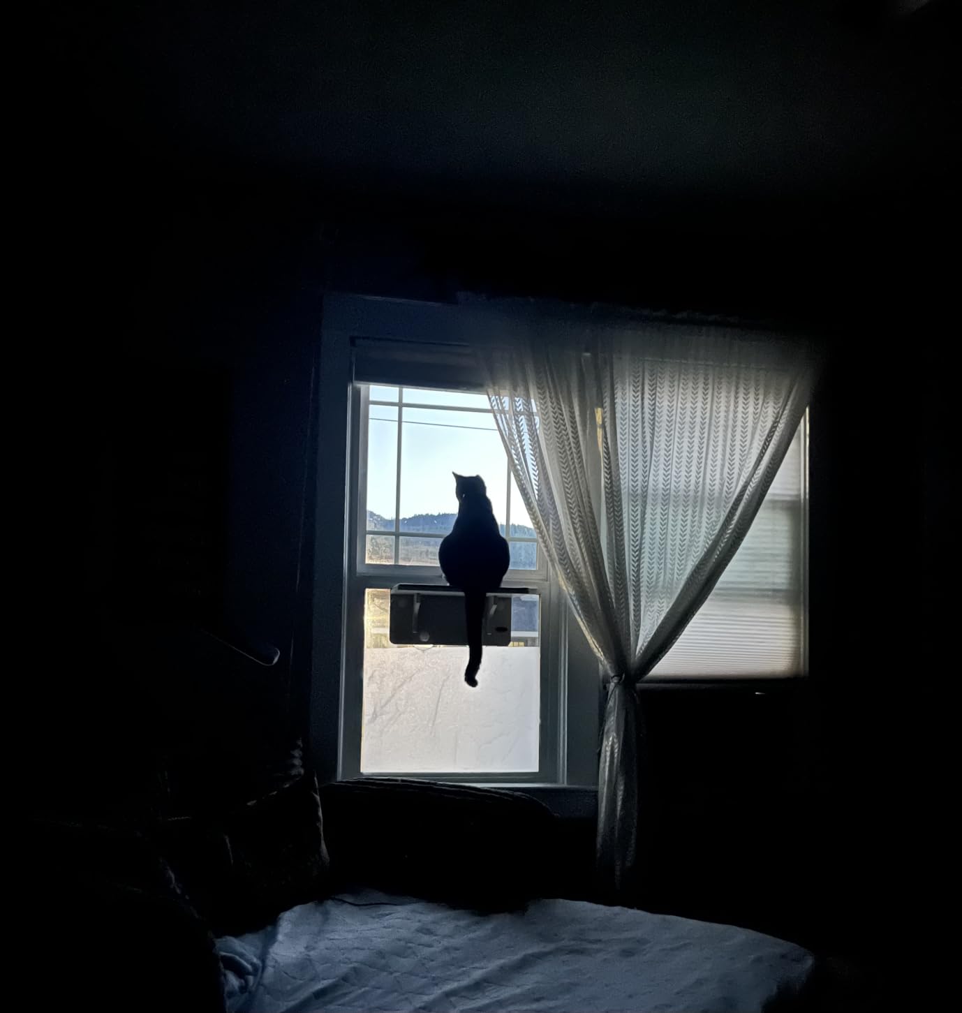 Pecute 2-in-1 Cat Window Perch & Wall Shelves, Cat Hammock Window 16