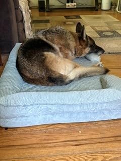 Bedsure Cooling Dog Beds Large Sized Dog - Orthopedic Large Dog Cooling Bed Washable, Dogs Couch Sofa with Waterproof Removable Cover, Pet Bed with Nonskid Bottom, Cooling Grey, 35