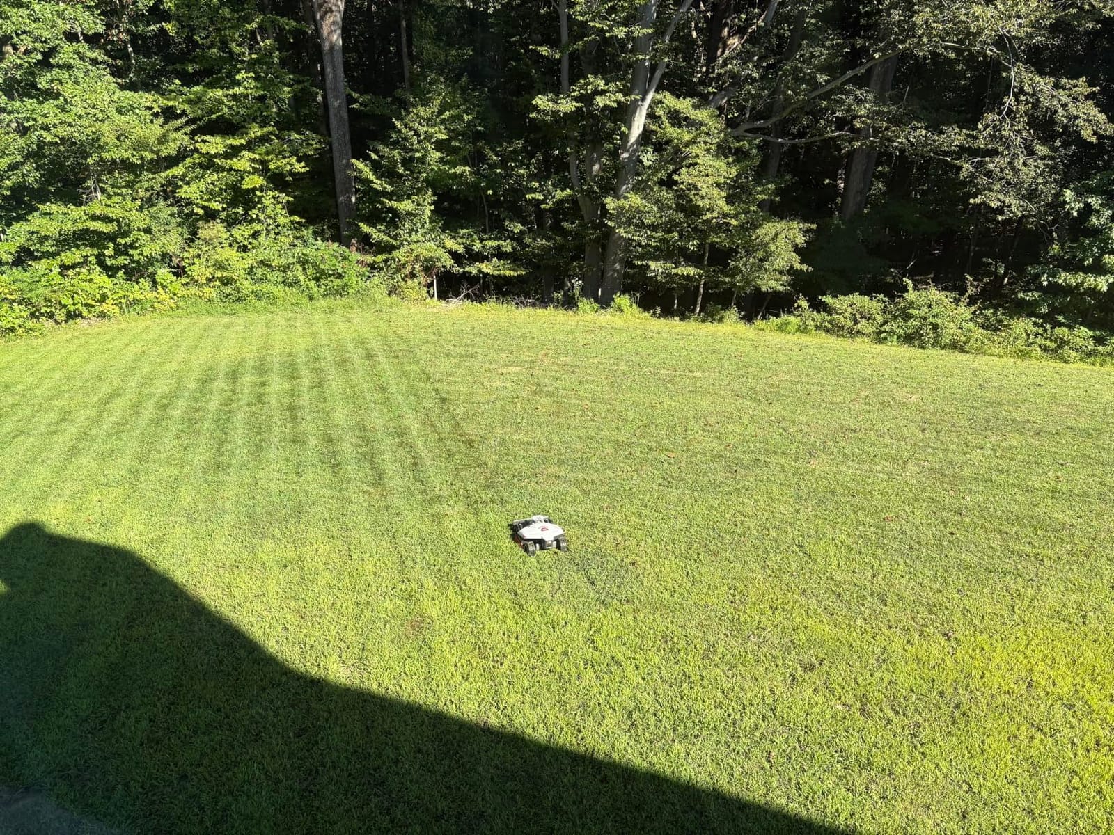 Mammotion LUBA 2 AWD 5000HX Robot Lawn Mower with 4G, Reception 1.25 Acres, Max. 1.48 Acres, All-Wheel-Drive for 80% Slope, UltraSense AI Vision & RTK Automatic Edge Mapping customer photo 2