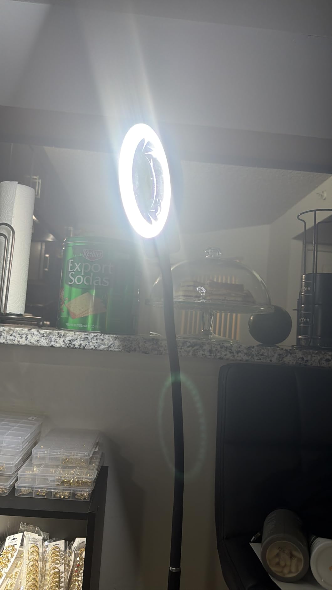10X/30X Magnifying Glass with Light and Stand, 2-in-1 Magnifying Floor Lamp with 72 Adjustable Brightness LED Bulbs, Flexible Gooseneck Standing Magnifying Lamp for Close Work, Craft, Reading (Amazon's Choice) customer photo 1