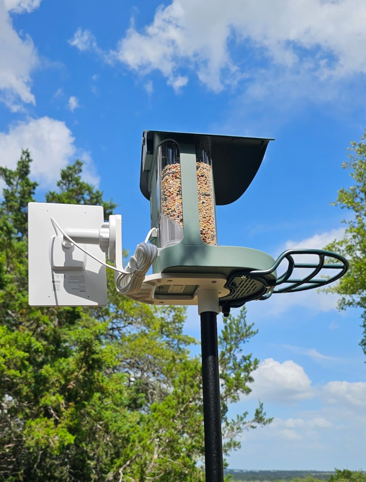 Smart Bird Feeder with 4K AI Camera Solar Powered, Easy Setup | AI Bird Identification for 10,000+ Species, 8MP Photo, Instant Bird Alert, Easy to Refill & Clean, Backyard Birdwatching Gift customer photo 2