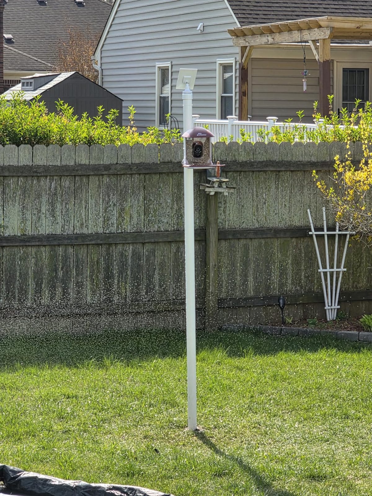 Smart Bird Feeder with Camera & Solar Panel, 2K HD Birdwatching Live | with AI Identify Bird Species, Auto Video Capture & Instant Notifications, for Mom/Dad/Bird Lovers customer photo 1
