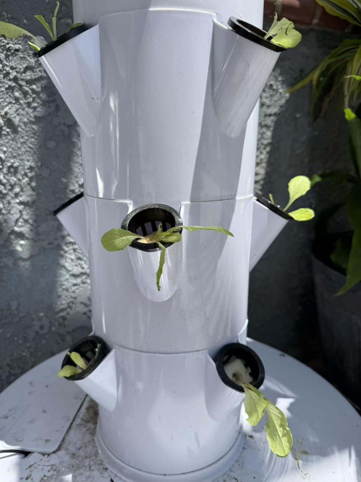 5.25ft Tall Hydroponics Growing System Tower, 9 Layers 36 Plant Spots Hydroponics Growing System Kit Tower, Vertical Hydroponic Tower for Indoor & Outdoor, Space-Saving customer photo 2