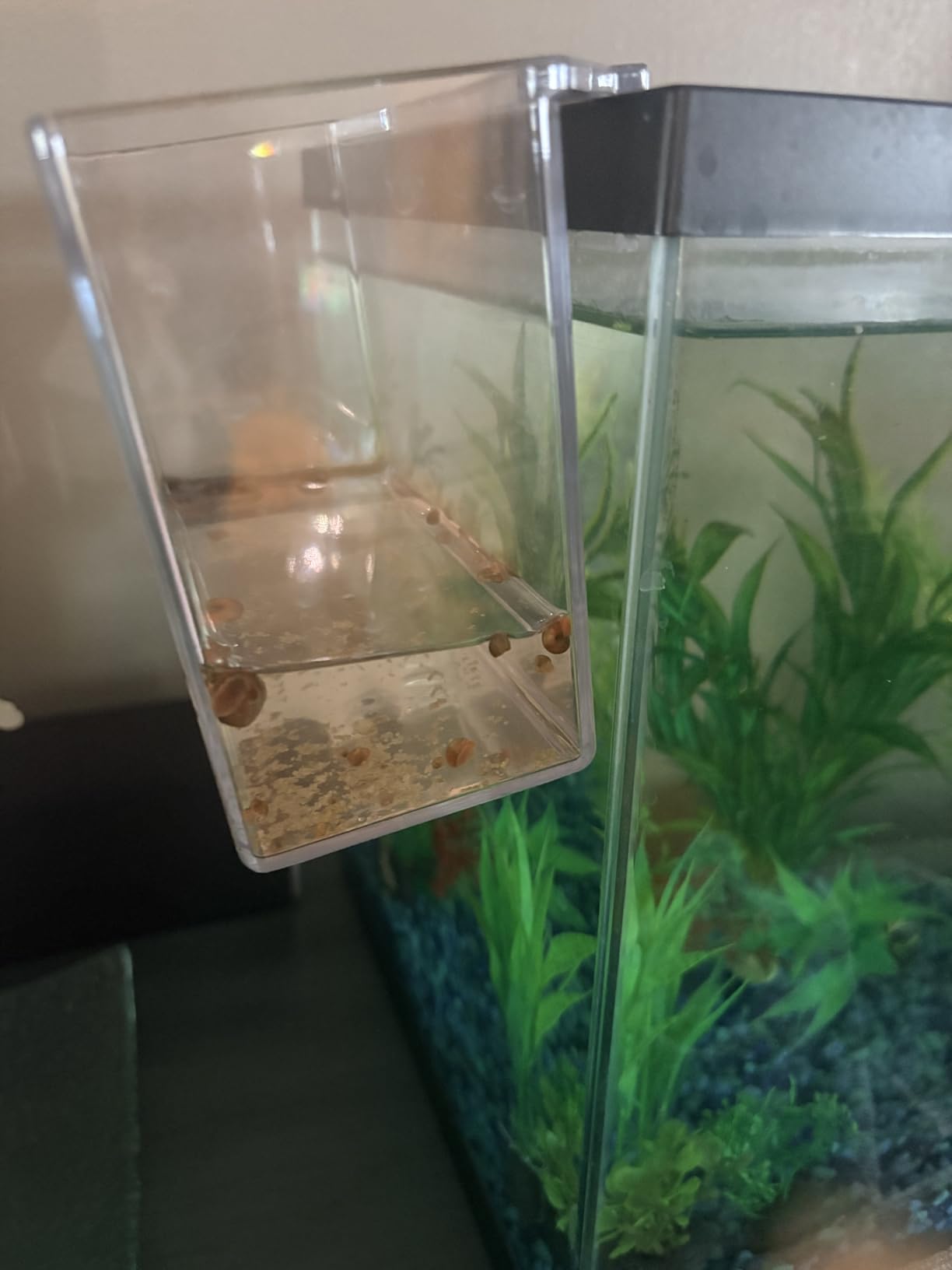Drip Acclimation Container for Fish & Corals - Hanging Acclimation Box for Saltwater & Freshwater Aquariums, Small customer photo 1