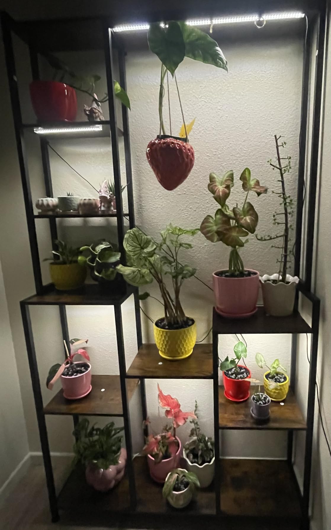 C2 Plant Stand Indoor with Grow Lights | Tiered Metal 70.87