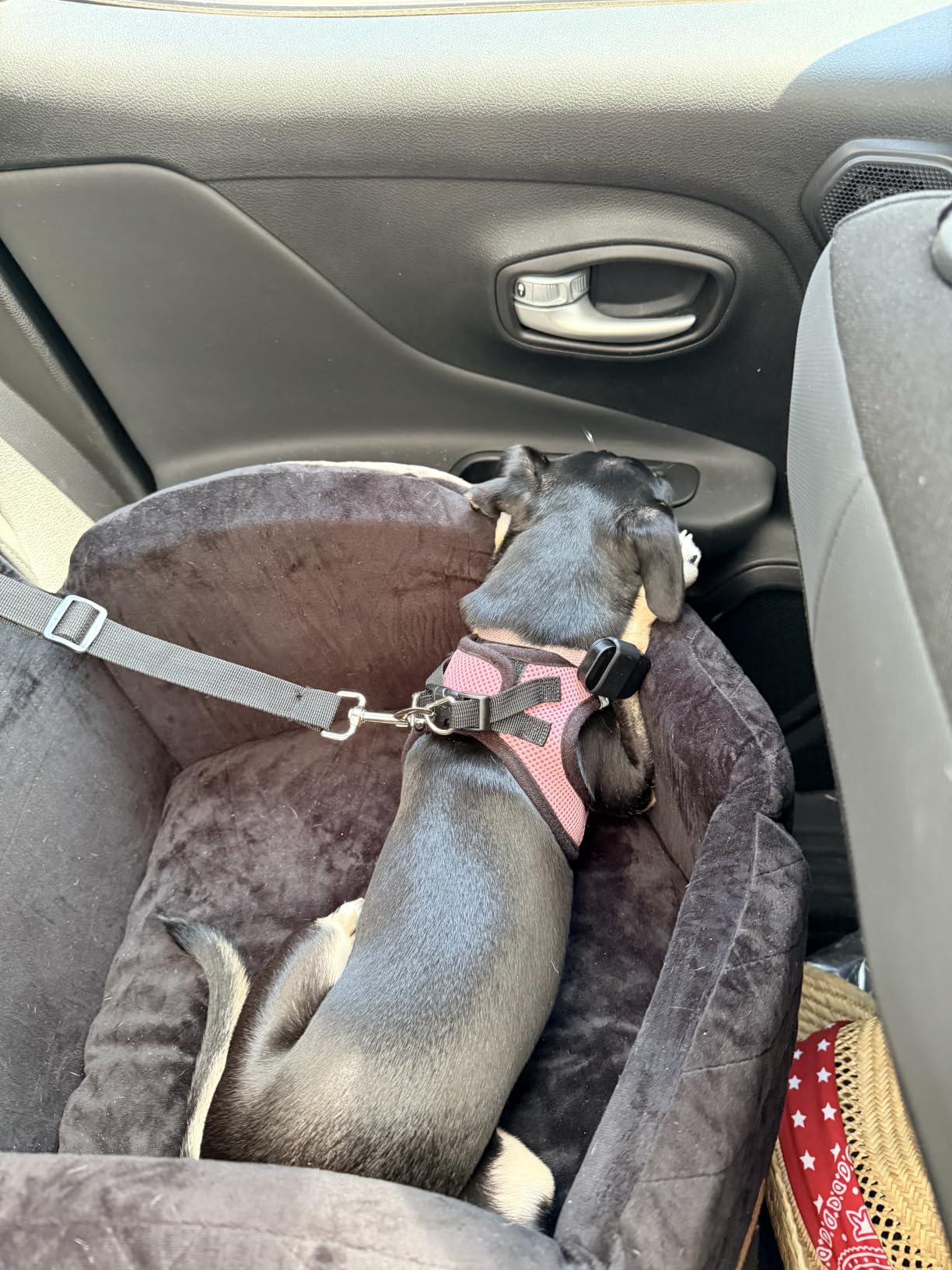 Dog Car Seat Booster for Small/Medium Dogs up to 35lbs, Grey | Elevated Puppy Car Seat, Memory Foam & Thick Cushion, Detachable Washable Cover, 2 Safety Leashes, Non-Slip, Storage Pockets customer photo 2
