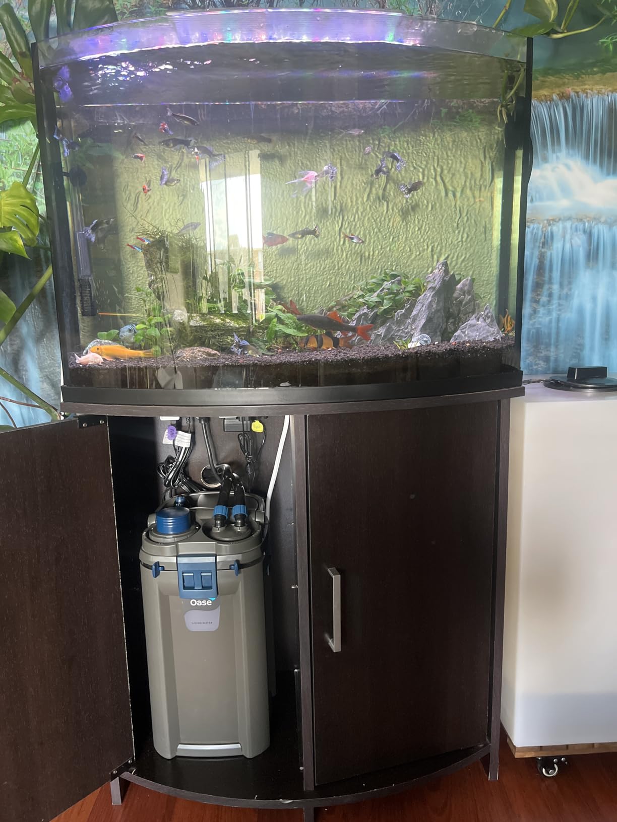 OASE BioMaster 2 Thermo 600 Canister Filter - Built-in Heater, Up to 160 Gallons customer photo 2
