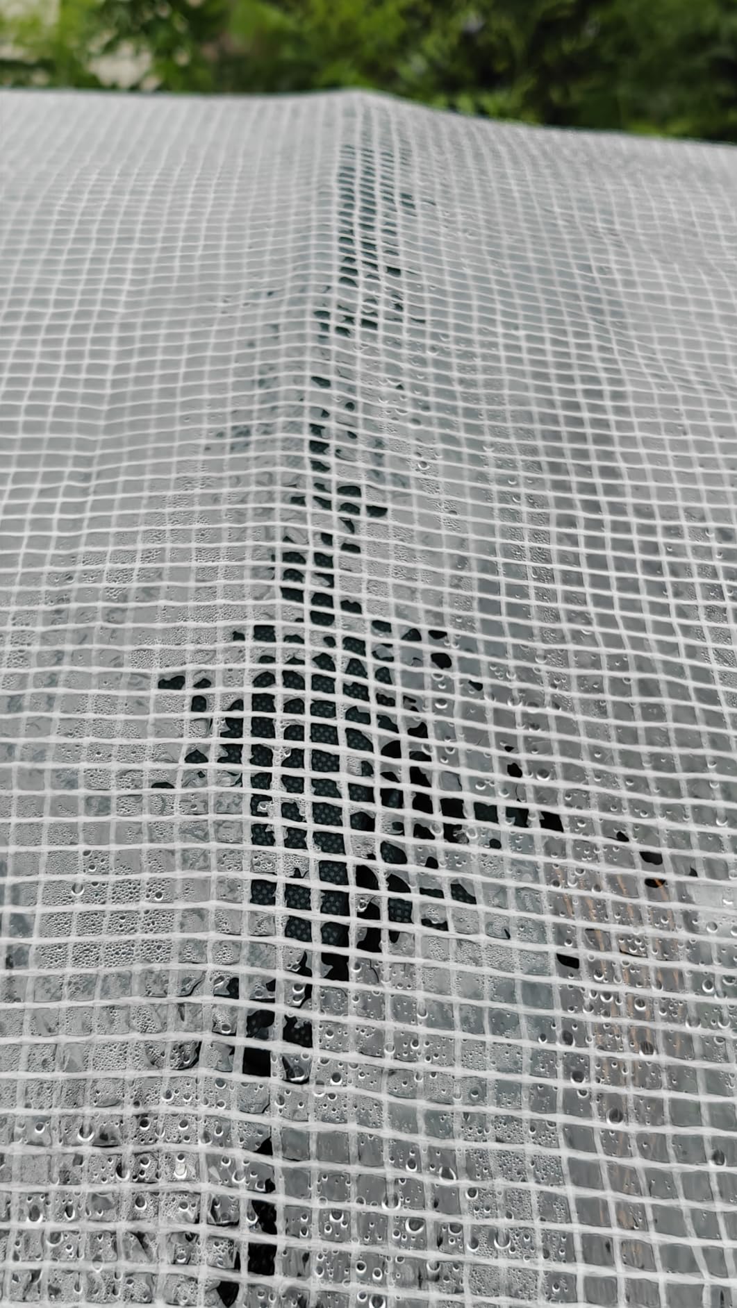 KING BIRD Premium 20x10x6.6FT Greenhouse for Outdoors Large Walk-in House | Upgraded Zipper Galvanized Metal Frame Mesh Door Screen Window Tunnel Hoop for Garden Plant Winter, 2 Stiffeners, White customer photo 2
