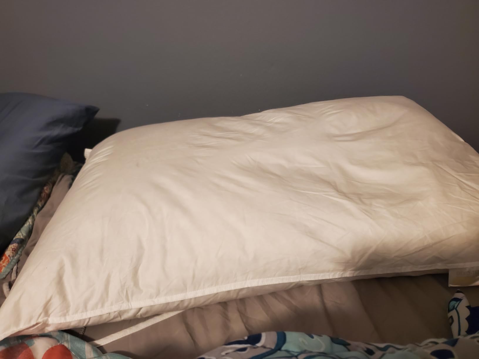 Canadian Luxury Goose Down Pillow Queen Size - 900 Fill Power | 100% Cotton with Teflon Shell- Ultra Comfort Sleep Pillows customer photo 1