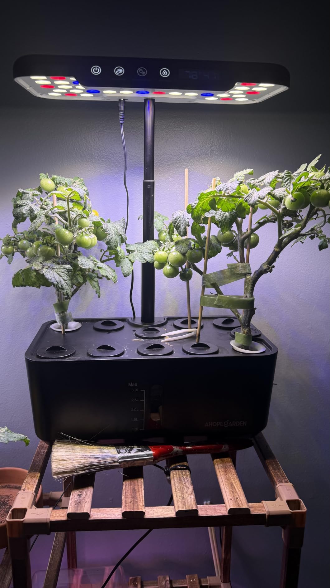 Hydroponics Growing System kit: Indoor Herb Garden - 12 Pods Plant Germination Kit with LCD Display and LED Grow Light, Smart Temp & Humidity Detection, Planter Grower for Fresh Vegetables customer photo 2