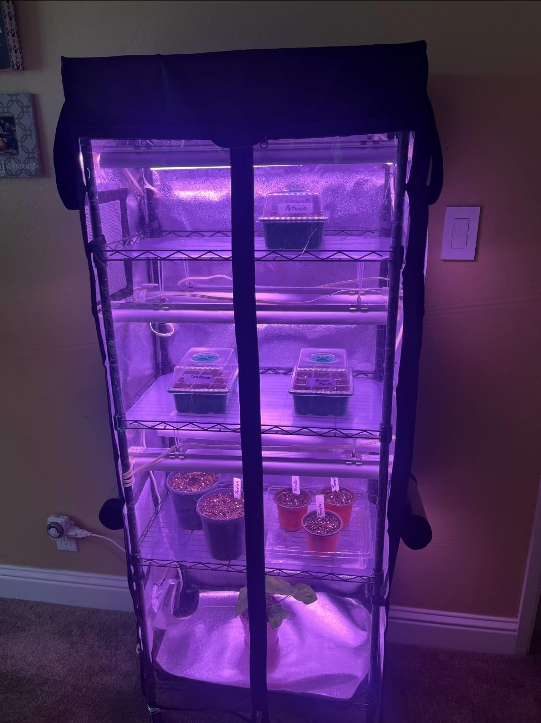 Small Greenhouse for Indoors, 5 Tier 23.1