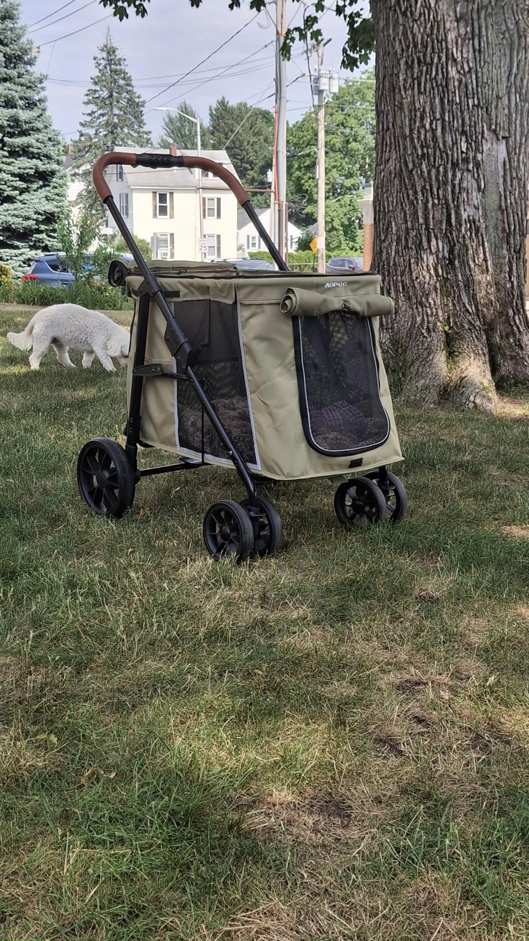 Medium Dog Stroller, Dual Entry One-Touch Folding, Small and Medium Pet Stroller, 360° Rotating Front Wheels, 80 lbs Weight Capacity for Outdoor Travel and Elderly Dogs - Gray customer photo 2