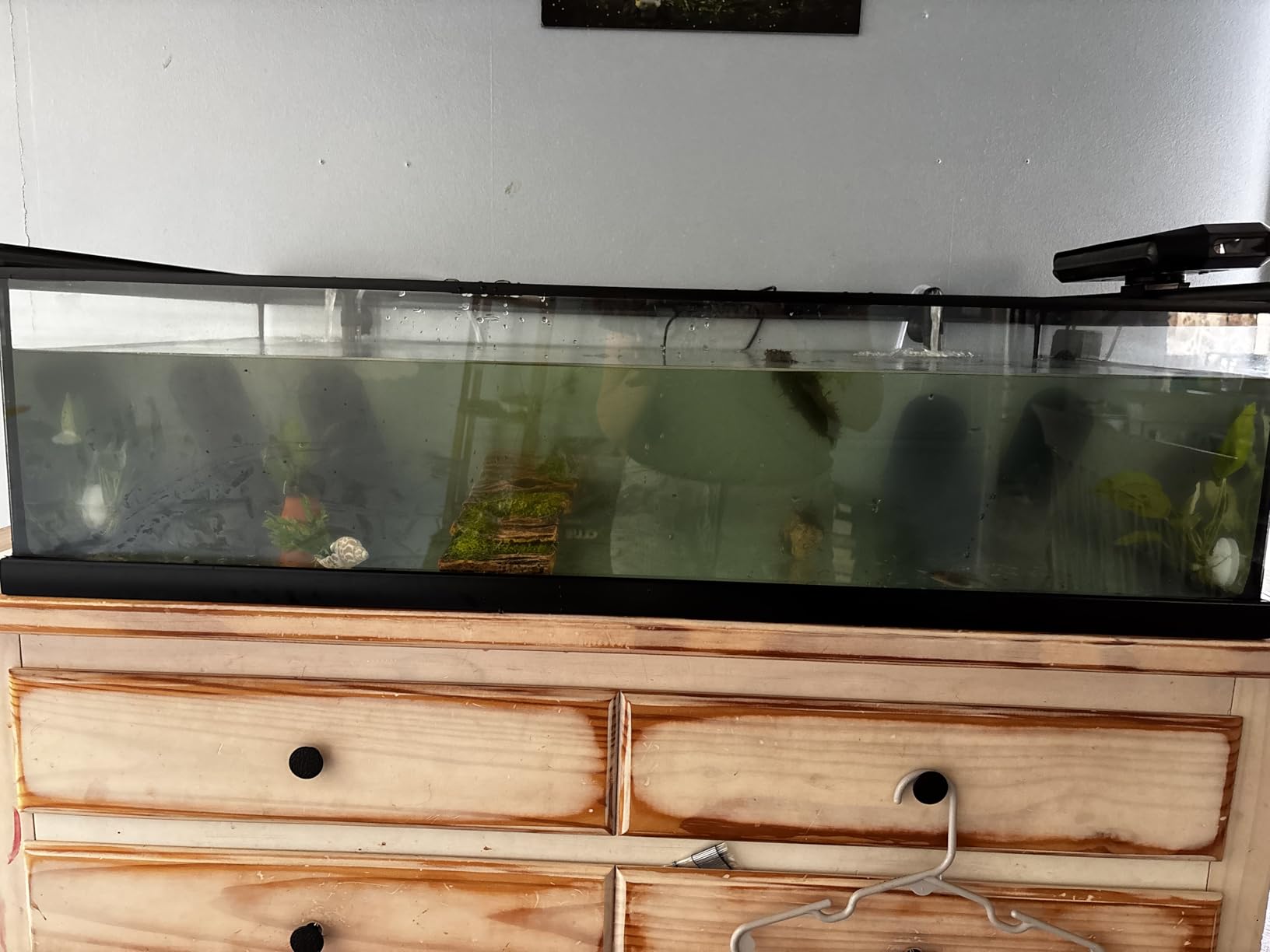 AQUASMITH Aquarium Chiller Fan, Fish Tank Cooler with Temperature Control, Minimum Setting 59°F, Auto Start/Stop, Refrigeration Effect 3-7°F, 3-Speed Modes, for Axolotl Seawater Freshwater Coral Grass Tank customer photo 1