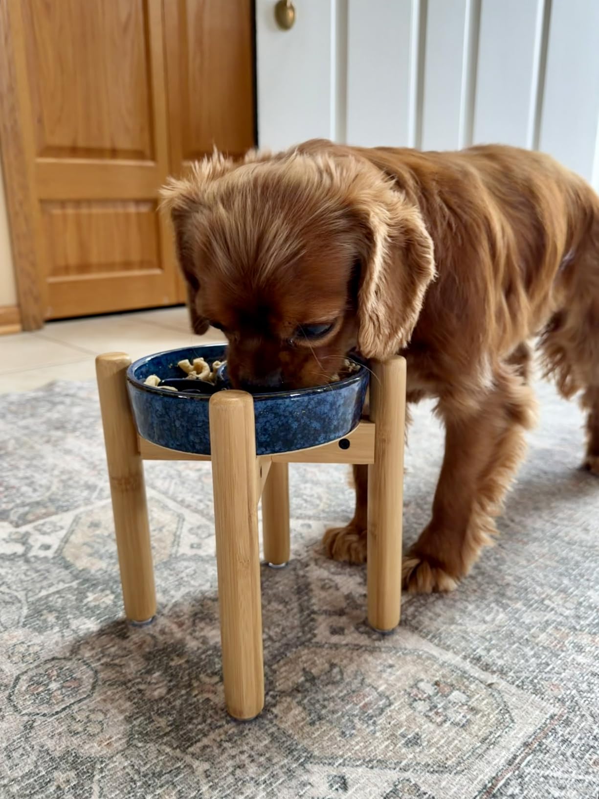 vancasso Ceramic Slow Feeder Dog Bowls, Puzzle Dog Food Bowls with Floral Maze, Anti-Slip Pet Food Dish for Medium Breed, 1.5 Cups, Blue customer photo 1