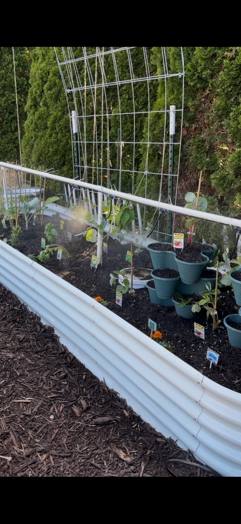 60FT Drip Irrigation Kit, 19 360° Copper Nozzles, Garden Watering System | Irrigation System for Garden, Quick-connect, Automatic Plant Watering Sprinkler System for Greenhouse, Potted, Raised Bed customer photo 2