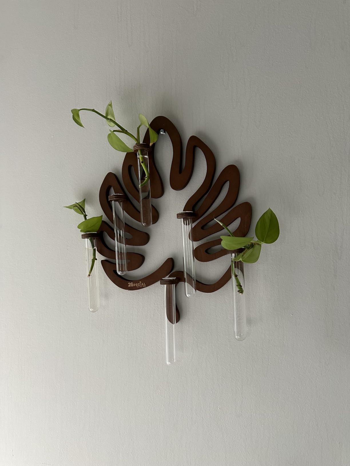 Leaf-Shaped Plant Hanging Propagation Stations with 6 Glass Vases & 1 Spare | Wooden Wall-Mounted Plant Propagation Stations for Plant Cuttings customer photo 1