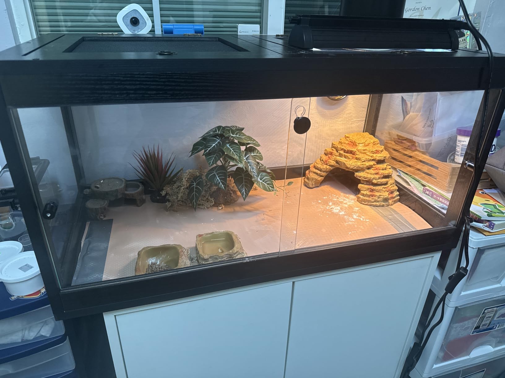 PROLEE Reptile Tank, 82 Gallon Beard Dragon Tank, Tempered Glass Reptile Encloure and Snake Tank with Locking Design for Lizard,Gecko,Chameleon (48