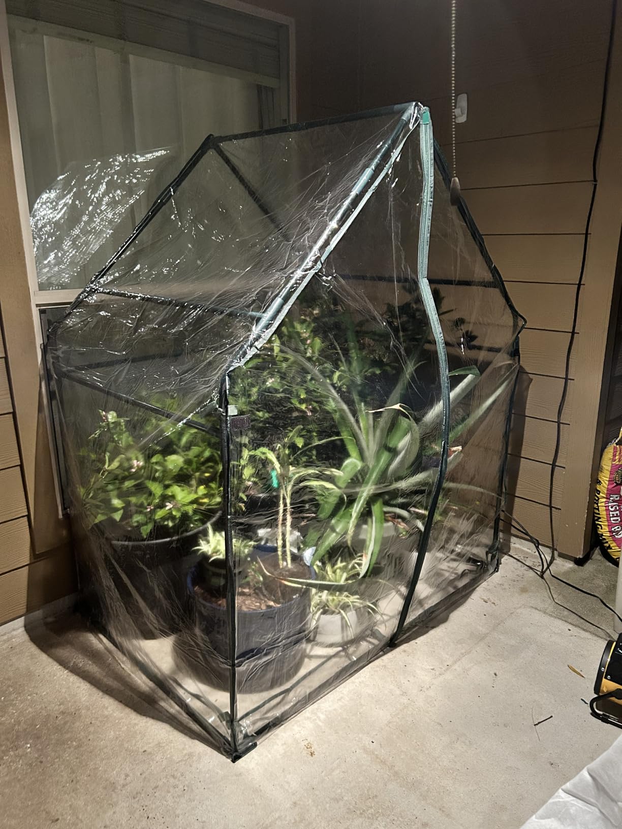 Gardzen Mini Greenhouse with Waterproof Base, 6.2(L) x18.9(W) x33.3(H) | Indoor/Outdoor Tabletop Greenhouse for Seed Starting, Plant Protection, Gardening & Winter Shelter customer photo 1