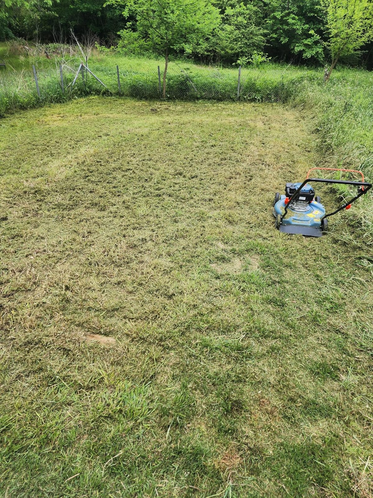 SENIX 22'' Self Propelled Gas Lawn Mower, 170cc 4-Cycle Engine, 3-in-1 (Bagging/Mulching/Side Discharge) customer photo 2