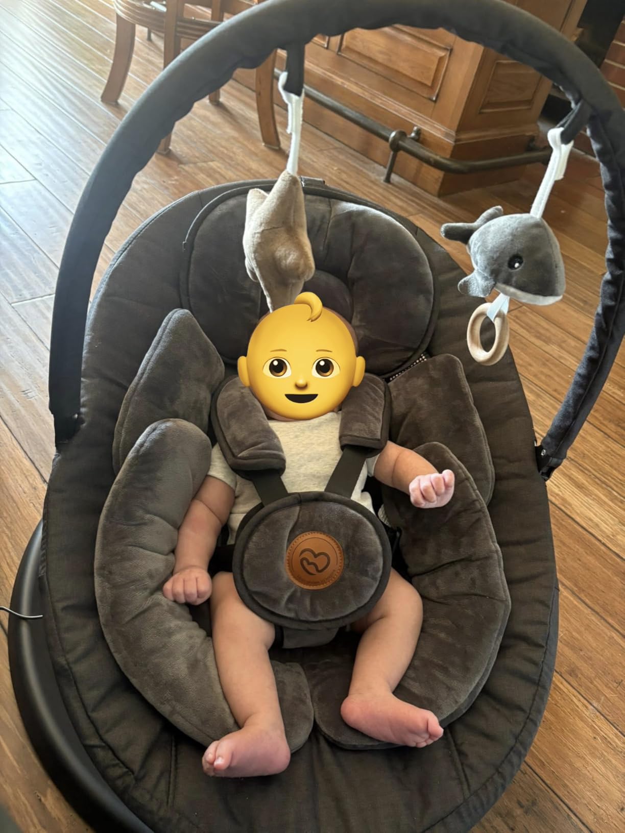 FasonBaby Electric Baby Swing with Bluetooth Music, Infant Swing with 5 Speeds, 10 Preset Melodies and Remote Control, Portable Baby Swing for Indoor and Outdoor customer photo 2
